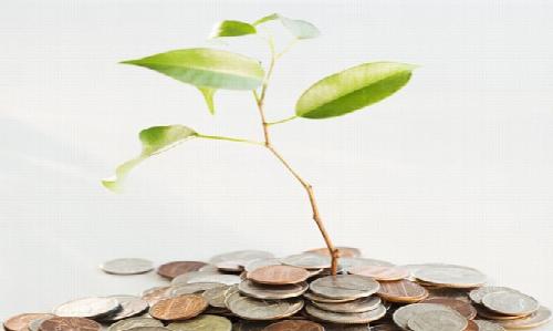 Fiare Banca Etica Fundazioaren Euskadiko Lurralde Ordezkaritza. Finantza etikoen kultura sustatzen dugu eta Fiareren jarduera herritarrengana hurbiltzen dugu. Gure lana 3 bloketan banatzen da:

1) Parabanka-jarduera: mikrokreditu-programak baztertz